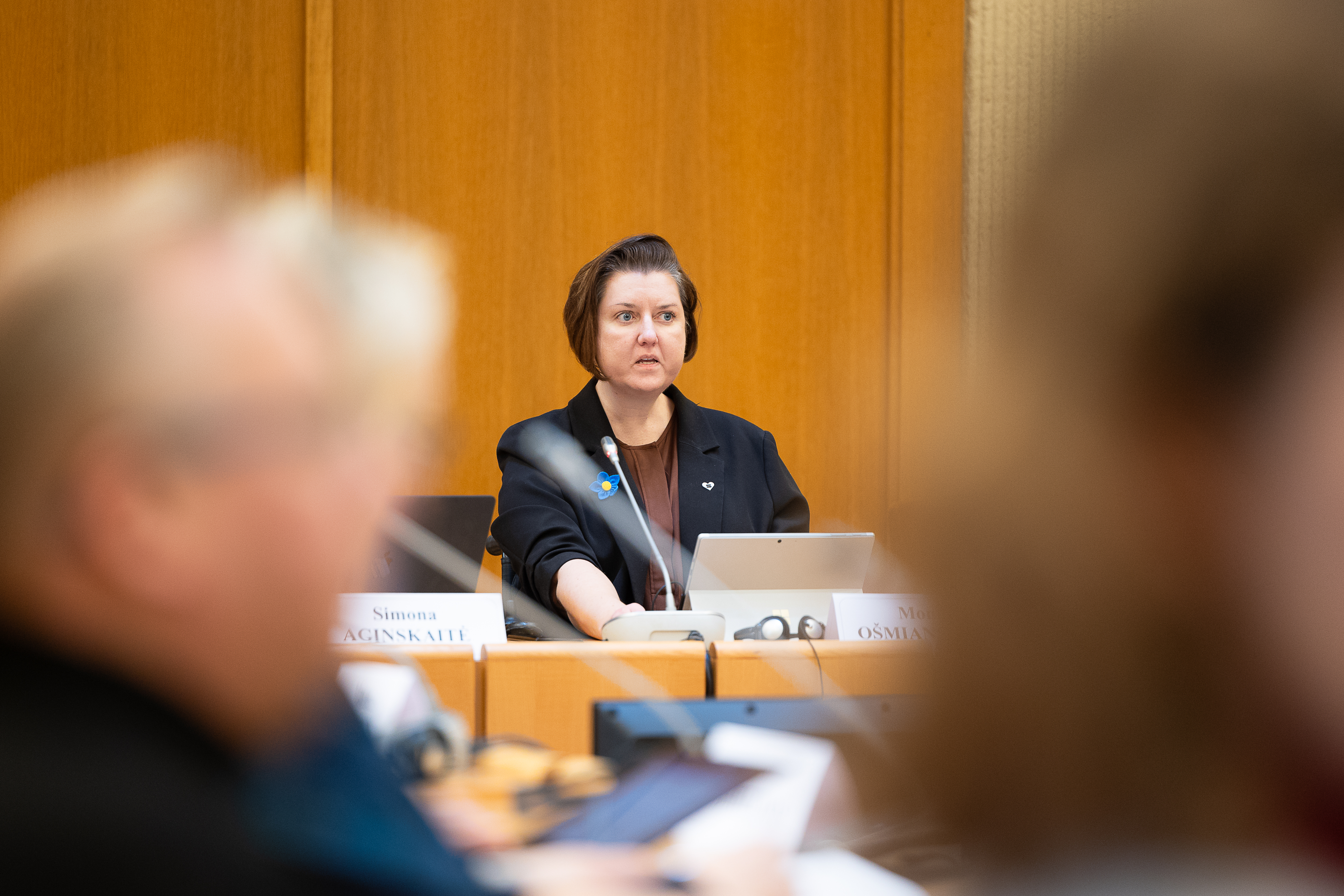 Europos sąjungos vėliava