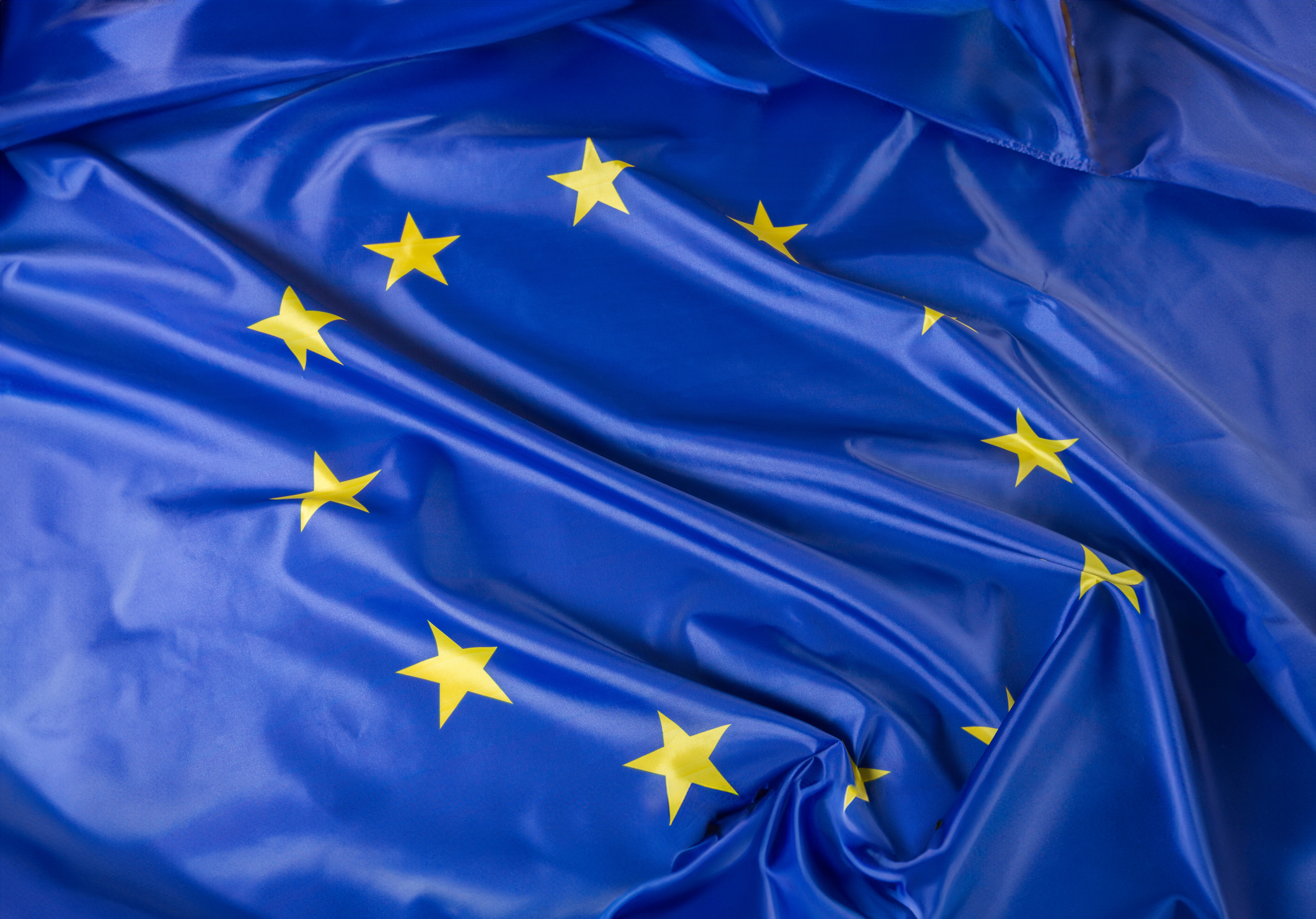 Europos sąjungos vėliava